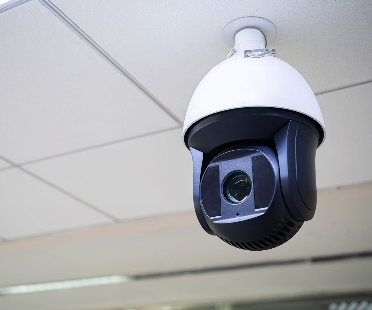 IP Cameras
